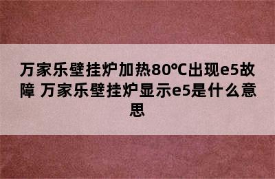 万家乐壁挂炉加热80℃出现e5故障 万家乐壁挂炉显示e5是什么意思